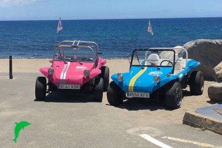 Buggy from the 70