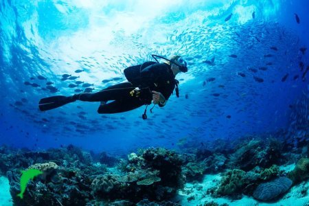 Discover Scuba Diving Adventure