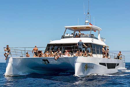 Exclusive Catamaran Boat Morning Cruise Gran Canaria Boat Trips 2026