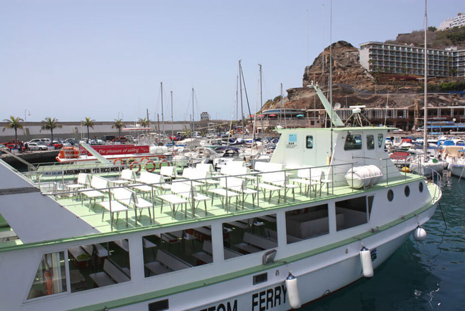 Short Guaranteed Dolphins Watching Glass Bottom Boat Tour Gran Canaria Boat Trips 2026