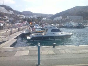Gui Gui Excursion Boat experience Gran Canaria Boat Trips 2026