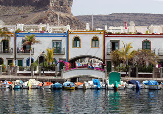 Combo SuperCat Dolphins Watching Market Puerto Mogan Gran Canaria Boat Trips 2026