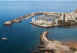 SuperCat Catamaran Dolphins Whales Watching Gran Canaria Boat Trips 2026