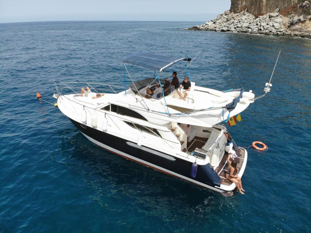 Yate con sello para ver cetaceos delfines ballenas tortugas Gran Canaria salida desde Puerto de Mog&aacute;n GranCanariaBoatTrips